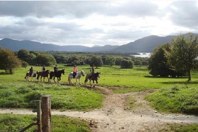 Killarney National Park Horseback Ride. Co Kerry. Guided. 1 hour. - Why horseback is a fine way to see Killarney National Park