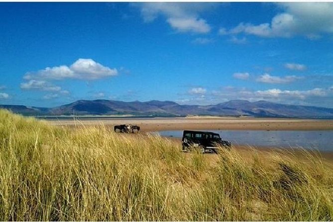 Killarney National Park Horseback Ride. Co Kerry. Guided. 1 hour. - Through the park: mountains, lakes, forests, and deer