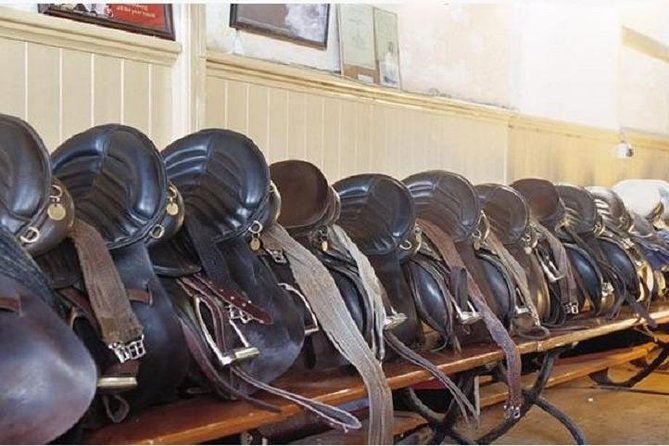 Killarney National Park Horseback Ride. Co Kerry. Guided. 1 hour. - Is $129.13 good value for one hour?