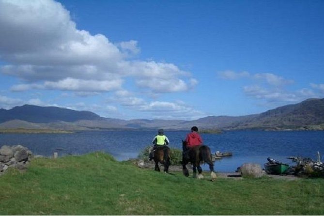 Killarney National Park Horseback Ride. Co Kerry. Guided. 1 hour. - Timing, weather, and cancellation rules