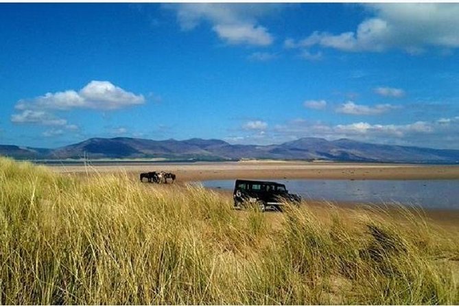 Killarney National Park Horseback Ride. Co Kerry. Guided. 2 hours. - How horses are matched to riders