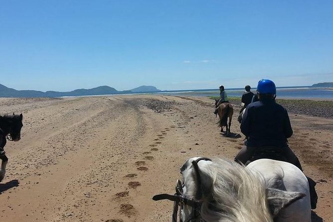 Killarney National Park Horseback Ride. Co Kerry. Guided. 2 hours. - Is $213.60 good value?