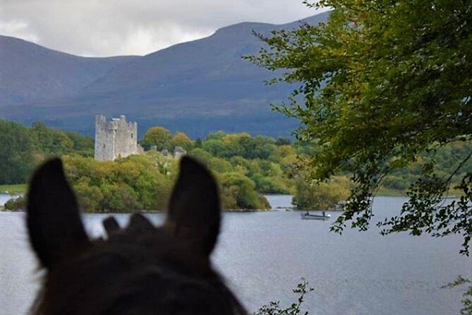 Killarney National Park Horseback Ride. Co Kerry. Guided. 3 hours. - What the three hours feel like