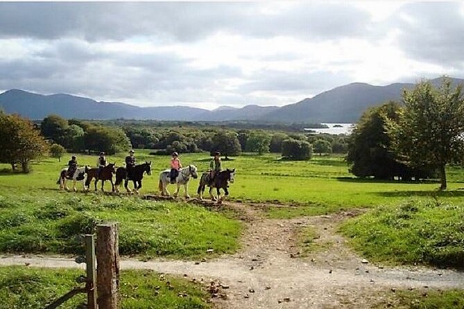 Killarney National Park Horseback Ride. Co Kerry. Guided. 3 hours. - The guides and the feel of the stable