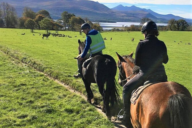 Killarney National Park Horseback Ride. Co Kerry. Guided. 3 hours. - Who should book this ride?