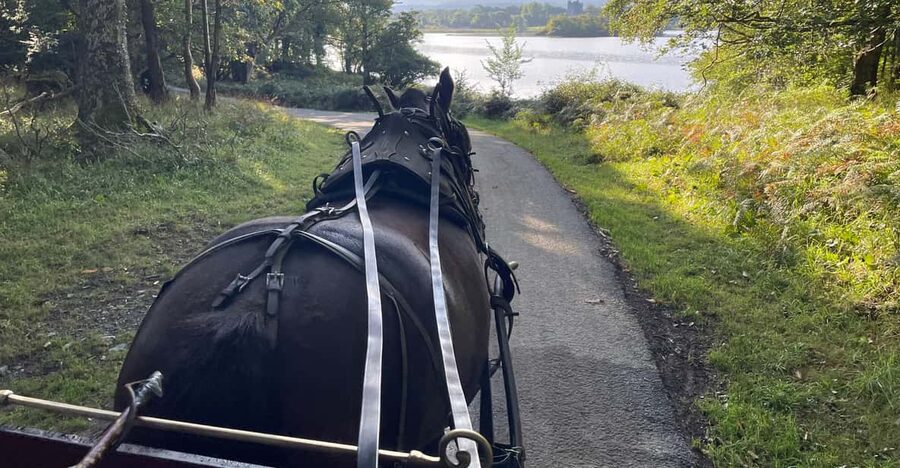 Killarney National Park Jaunting Car Tour - Key points about the Killarney jaunting car ride