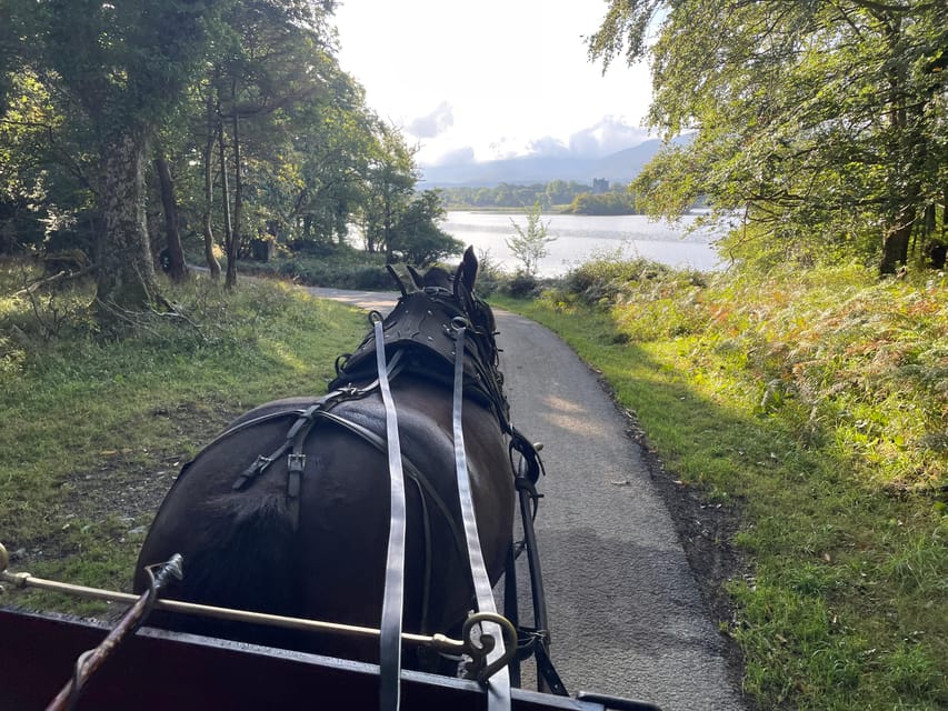 Killarney National Park Jaunting Car Tour - Mountain views and the Irish red deer parks