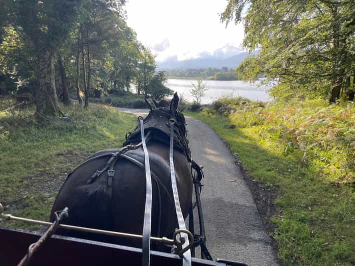 Killarney National Park Jaunting Car Tour - Practical advice before you book