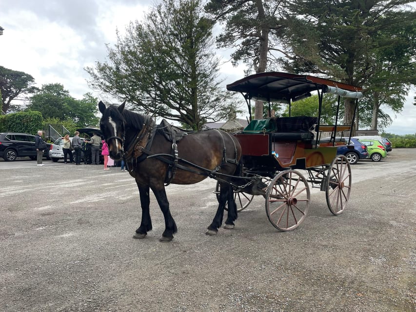 Killarney National Park Jaunting Car Tour - Entering Killarney National Park by carriage