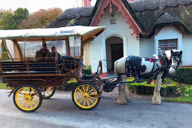 Killarney National Park Tour - Starting at Deenagh Lodge