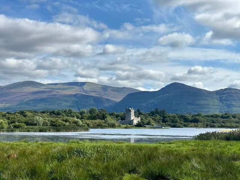 Killarney National Park Tour - Wildlife and the chance of seeing deer