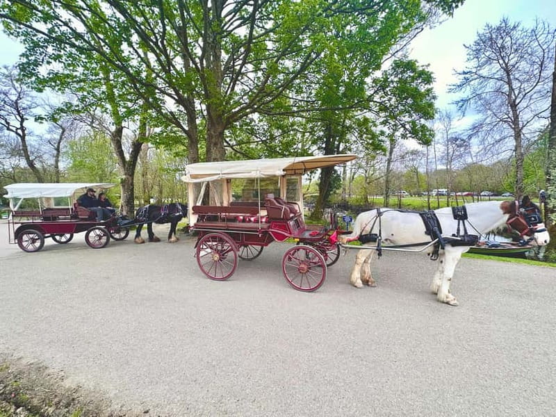 Killarney National Park Tour - What the one-hour length means