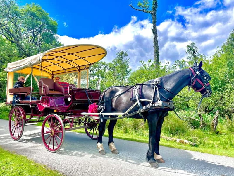 Killarney National Park Tour - Is $51 a fair price?