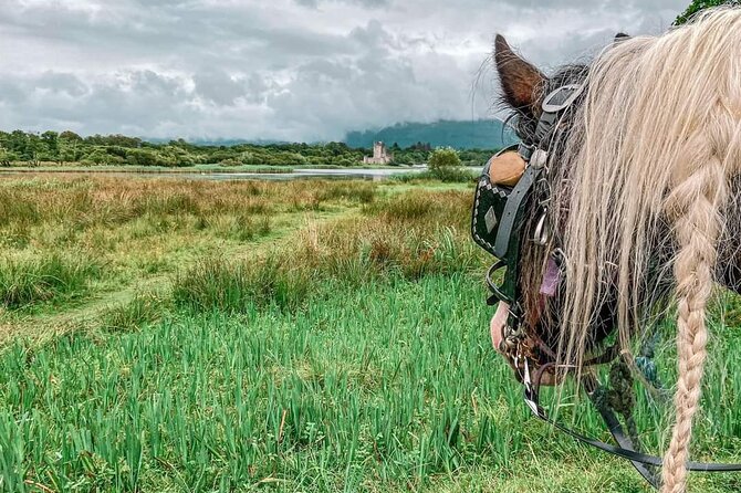 Killarney National Park Tour - Through Killarney National Park by horse