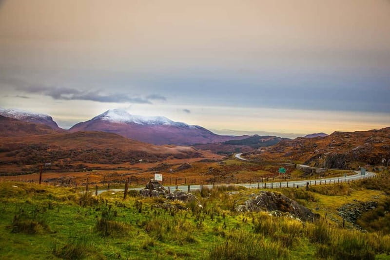 Killarney: Ring of Kerry Bus Tour - Key points to know before booking