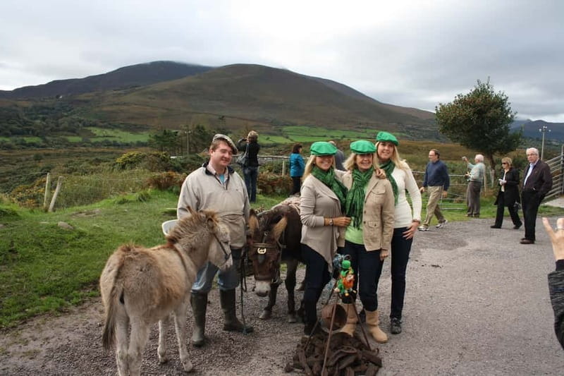 Killarney: Ring of Kerry Bus Tour - Killorglin and the road toward Glenbeigh
