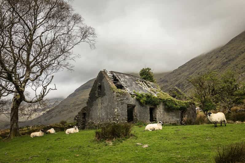 Killarney: The Ring of the Reeks - Backroads Rural Tour - Leaving Killarney for Glencar and Bridia Valley