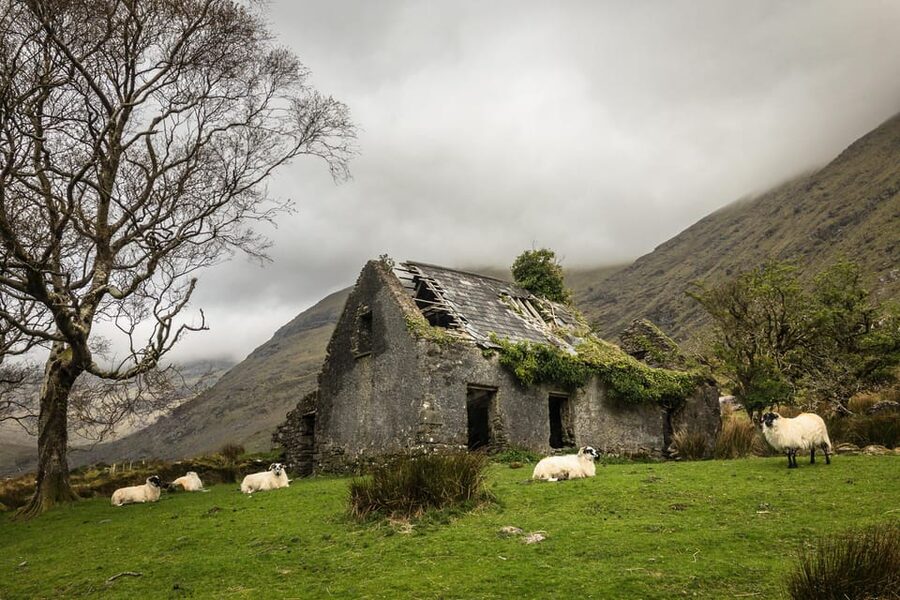 Killarney: The Ring of the Reeks - Backroads Rural Tour - Kenmare gives the day a useful break