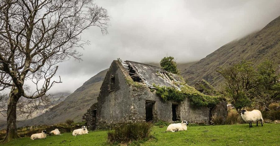 Killarney: The Ring of the Reeks - Backroads Rural Tour - The Black Valley brings quieter views