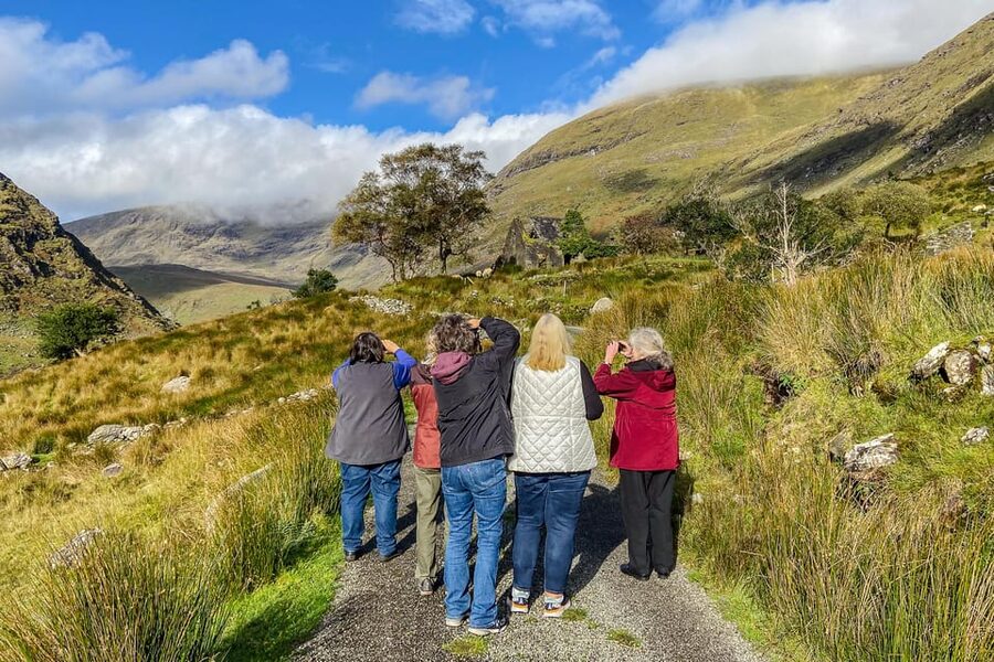 Killarney: The Ring of the Reeks - Backroads Rural Tour - The five-person group and minibus setup