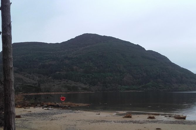 Killarney Valley & National Park - Private Tour - St. Mary’s Cathedral and the story of the famine years