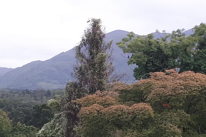 Killarney Valley & National Park - Private Tour - Aghadoe Church offers wide views with little walking