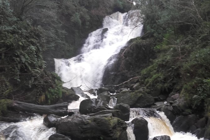 Killarney Valley & National Park - Private Tour - Killarney National Park is more than a collection of stops