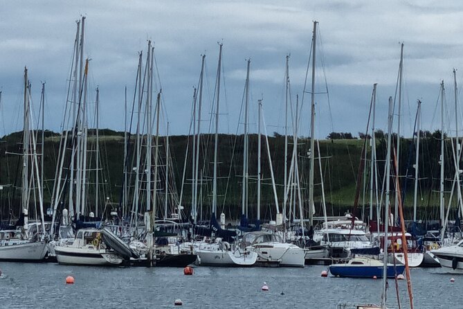 Kinsale and West Cork Classic Private Tour in modern a/c minibus - What the Vehicle and Guide Add