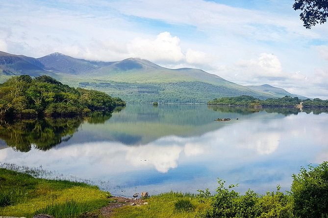 Lakes of Killarney Cruise - Wildlife sightings depend on luck