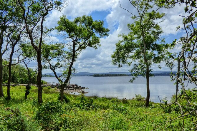 Lough Corrib History and Scenic Lake Cruise from Lisloughrey Pier Tour - Key points to know before you book