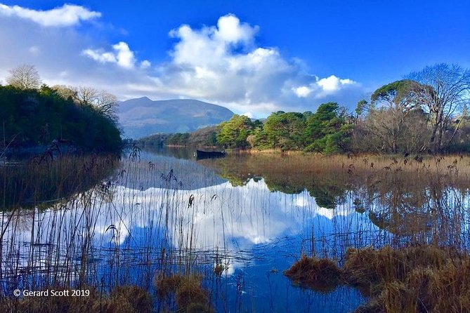 Luxury Photography Day Tour on Dingle Peninsula - Fully Guided and Chauffeured - A photography tour for experts and camera beginners
