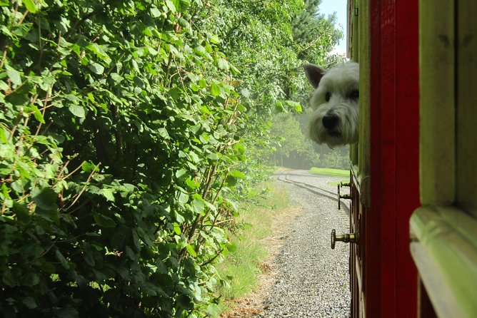 Oakfield Park Day Pass and Train Ride - Riding the 4.5-kilometre miniature railway