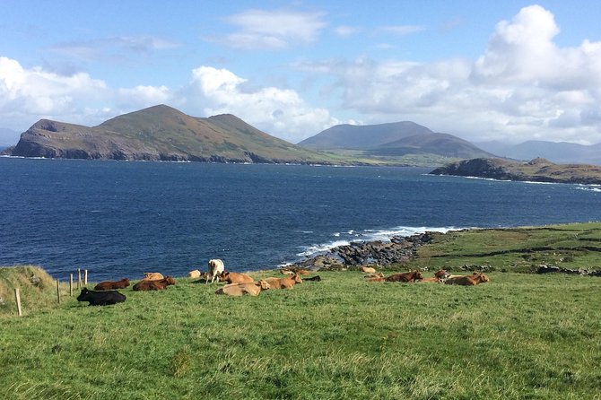 Off the beaten Path Private Tour of Ring of Kerry - The Skellig Ring is the scenic heart of the day