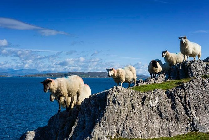 Off the beaten Path Private Tour of Ring of Kerry - Killarney National Park closes the day well