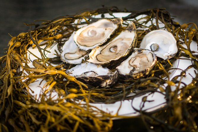 Oyster Farm and Tasting Experience - A Useful Family Stop Near Kylemore Abbey