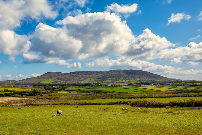 Personalized Full-Day Dingle Peninsula and Slea Head Drive Tour - Fairyfort mixes old stones with sheep