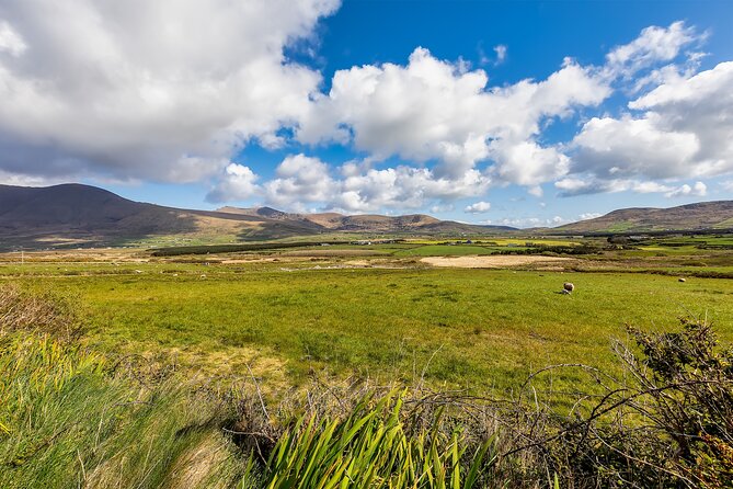 Personalized Full-Day Dingle Peninsula and Slea Head Drive Tour - Dingle Crystal adds a personal touch