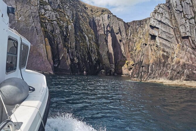 Private 1-Hour Guided Boat Tour in Dingle Peninsula - The Value of $155.77 for a Private Group