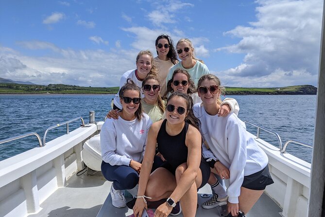 Private 1-Hour Guided Boat Tour in Dingle Peninsula - Why the Private Format Matters