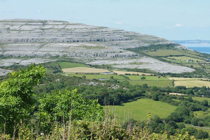 Private Burren and Cliffs of Moher Full Day Tour - Caherconnell brings the Burren to life