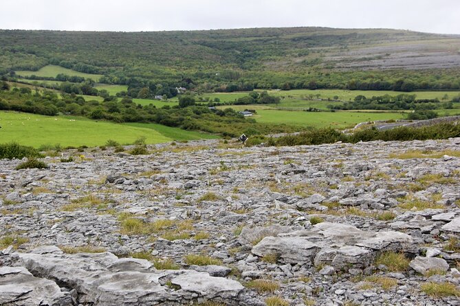 Private Burren and Cliffs of Moher Full Day Tour - Poulnabrone Dolmen and the Burren’s limestone