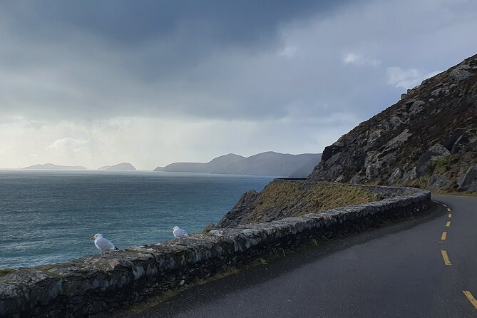 Private Chauffeur Service From Killarney to Shannon Airport - Timing your pickup for a flight