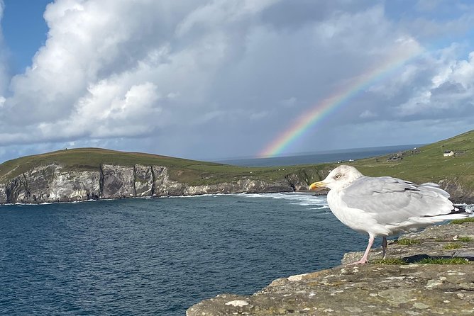 Private Dingle and Slea Head - Making time for Dingle town