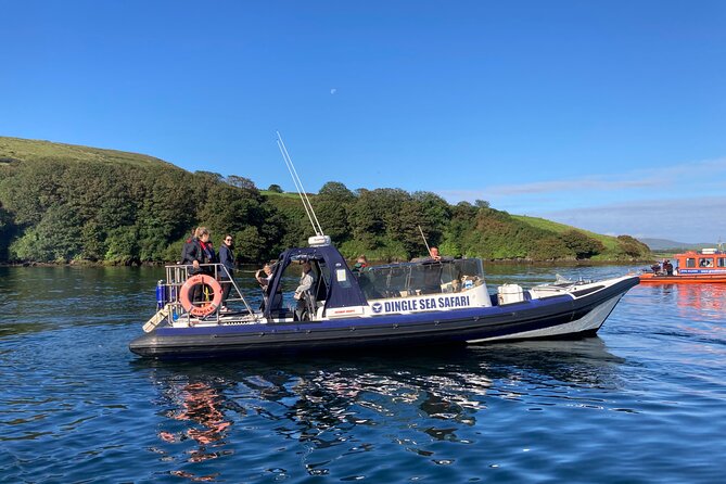 Private family sea safari - Captain Jimmy and the value of a private boat