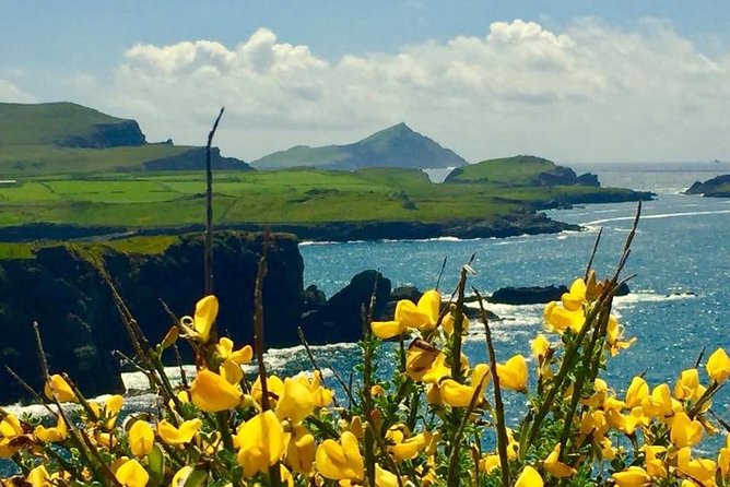 Private Full Day Tour From Killarney - Ring of Kerry/Skellig - Skelligs Chocolate Co. and the 20-minute factory stop