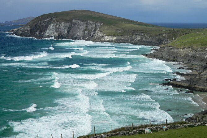 Private Full-Day Tour to Dingle and Slea Head - Blennerville Windmill makes a quick final photo stop