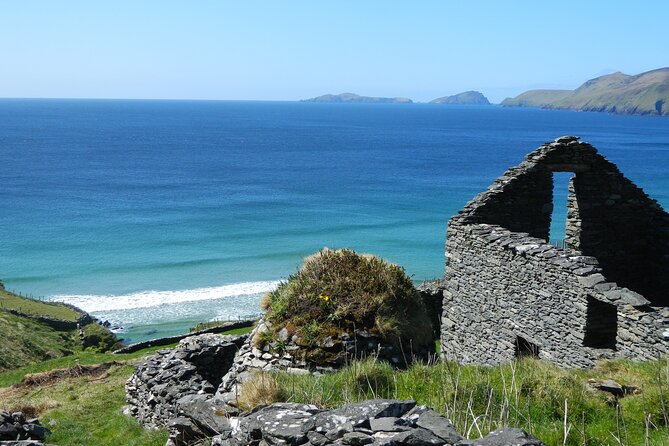 Private Full-Day Tour to Dingle and Slea Head - Dingle town gives you a useful midday pause