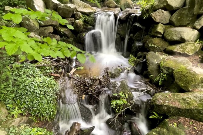 Private Garden of Ireland Wicklow Tour from Dublin - Why this private Wicklow day works