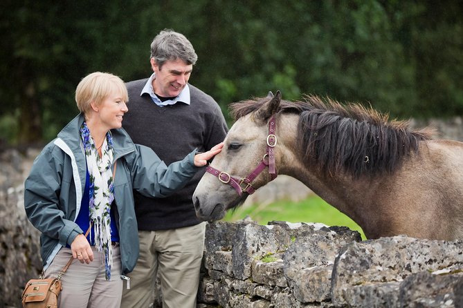 Private Half Day Tour To Connemara - Why a private drive suits Connemara