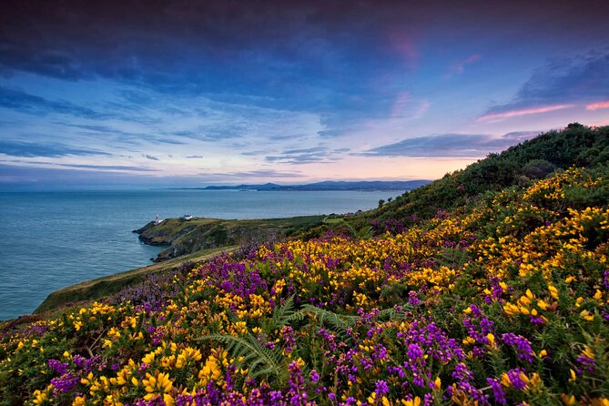 Private Howth Coastal Walk - Baily Lighthouse and the stories beyond the view
